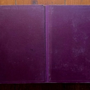 Heinrich Heine - Heines Werke in 15 Teilen (1-3, 7-9, 10-12, 13-15) (editie hardcover) - Img 2