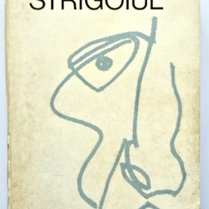 Ion Agarbiceanu - Strigoiul