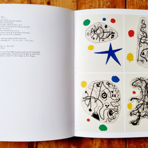 Jacques Dupin - Miro Graveur. Miro Engraver. Volume I: 1928-1960 (editie hardcover, in limba engleza, in etui special) - Img 6