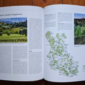 Jens Priewe - Marea carte a vinului (editie hardcover) - Img 5