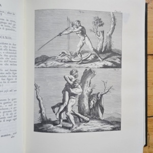 Leonard de Vinci - Le traite de la peinture de Leonard de Vinci (editie hardcover, bilingva) - Img 7