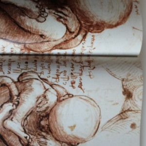 Leonardo da Vinci - The Complete Paintings and Drawings (album in limba engleza) - Img 5