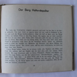 Marin Sorescu - Als ich Einmal fliegen Wollte (editie hardcover) - Img 3