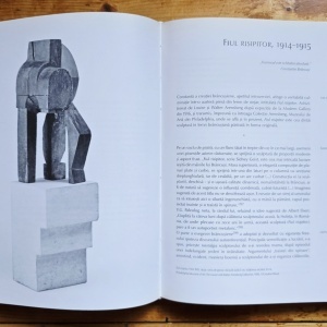 Matei Stircea-Craciun - Brancusi. Limbajele materiei (editie hardcover) - Img 5