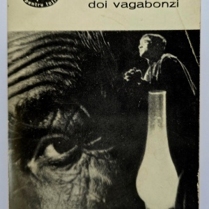 Maxim Gorki - Doi vagabonzi (nuvele si povestiri)