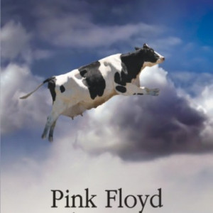 Michel Mary - Pink Floyd in rosu