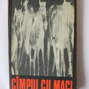 Nicolae Calomfirescu - Campul cu maci (cu autograf) - Img 2