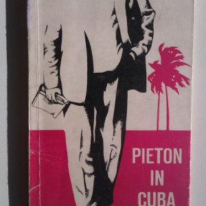 Pop Simion - Pieton in Cuba