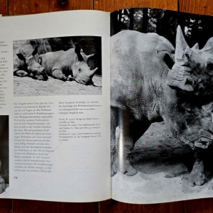 Prof. Dr. Wolfgang Ullrich, Erich und Isabella Tylinek - Seltene Tiere stellen sich vor (editie hardcover, in limba germana) - Img 2