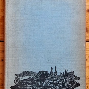 Tamasi Aron - Hazai tukor. Kronika (1832-1853) (editie hardcover)