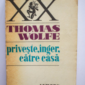 Thomas Wolfe - Priveste, inger, catre casa. Istorie a vietii ingropate