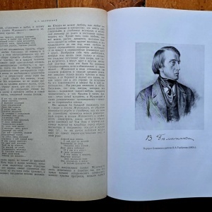 V. G. Belinski - Opere alese (editie hardcover, in limba rusa) - Img 6