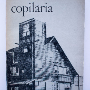 Vadim Andreev - Copilaria