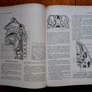 Victor Papilian - Anatomia omului. I. Aparatul locomotor, II. Splanhnologia (2 vol., editie hardcover) - Img 3
