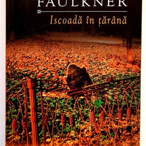 William Faulkner - Iscoada in tarana