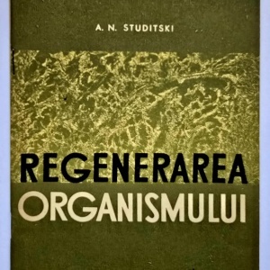A. N. Studitski - Regenerarea organismului