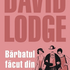 David Lodge - Barbatul facut din bucati