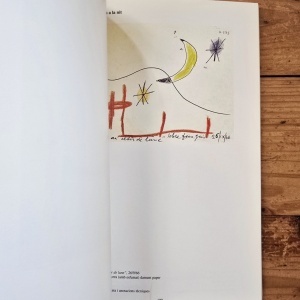 Dibuixos Inedits de Joan Miro (19 desembre 1994 - 26 febrer 1995, Fundacio Pilar i Joan Miro a Mallorca) - Img 5