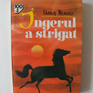 Fanus Neagu - Ingerul a strigat