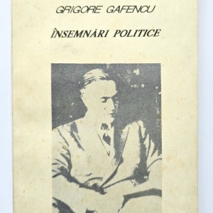 Grigore Gafencu - Insemnari politice (1929-1939)