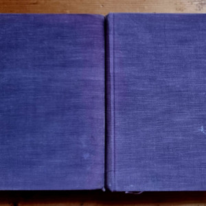 Hervey Allen - Antonio Adverso (2 vol., editie hardcover, interbelica, frumos relegata) - Img 2