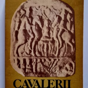 Ioan Roman - Cavalerii danubieni (vol. I)