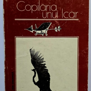 Ion Dodu Balan - Copilaria unui Icar