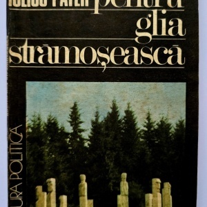 Iulius Payer - Pentru glia stramoseasca. Amintirile unui fost condamnat la moarte
