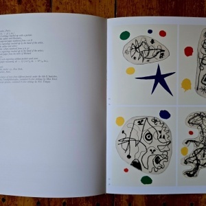 Jacques Dupin - Miro Engravings. Miro Engraver. Volume I: 1928-1960 (editie hardcover, in limba engleza) - Img 6