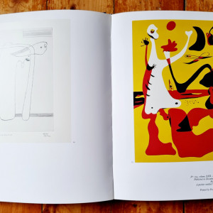 Jacques Dupin - Miro Graveur. Miro Engraver. Volume I: 1928-1960 (editie hardcover, in limba engleza, in etui special) - Img 7