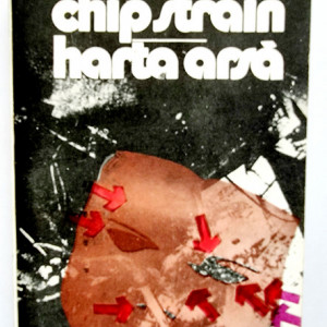 Kobo Abe - Chip strain. Harta arsa