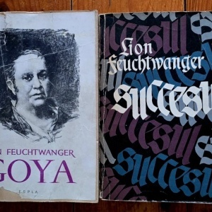 Lot 4 carti Lion Feuchtwanger (Balada spaniola. Goya sau drumul spinos al cunoasterii. Succesul. Vulpile in vie) (4 vol.)