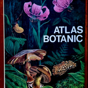 Lucia Popovici, Constanta Moruzi, Ion Toma - Atlas botanic (editie hardcover)