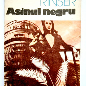 Luise Rinser - Asinul negru