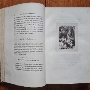 M. Charles Blanc - L`oeuvre complet de Rembrandt. Catalogue raisonne (2 vol., editie hardcover, frumos relegata) - Img 11