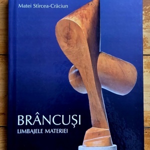 Matei Stircea-Craciun - Brancusi. Limbajele materiei (editie hardcover) - Img 1