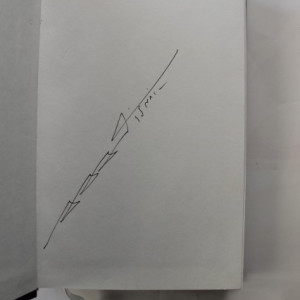 Matei Visniec - Paianjenul in rana. Groapa din tavan (2 vol., editie hardcover, vol. Groapa din tavan contine autograf)