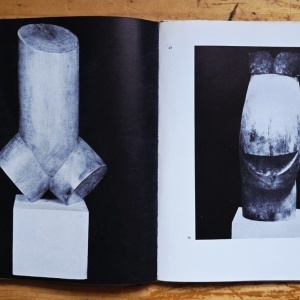 Mircea Deac - Constantin Brancusi (editie hardcover) - Img 3