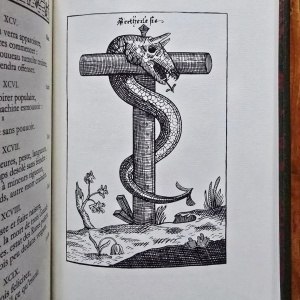 Nostradamus - Les Oracles de Michel de Nostredame dit Nostradamus (2 vol., editie hardcover, ”ne varietur”) - Img 8