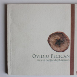 Ovidiu Pecican - Zilele si noptile dupa-amiezei