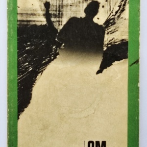 Petru Popescu - Om in somn