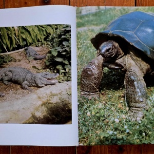 Prof. Dr. Wolfgang Ullrich, Erich und Isabella Tylinek - Seltene Tiere stellen sich vor (editie hardcover, in limba germana) - Img 3