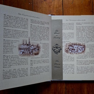 Romania through stamps. The Senses in painting / Roumanie par des timbres. Les Sens en peinture (editie hardcover, bibliofila, bilingva) - Img 2