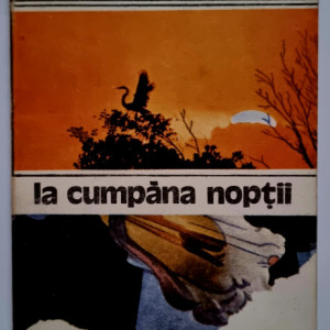 Silvia Rosca - La cumpana noptii