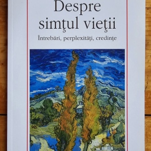 Stefan Afloroaei - Despre simtul vietii. Intrebari, perplexitati, credinte