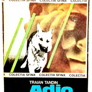 Traian Tandin - Adio Ringo