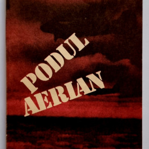 V. I. Michelson, M. I. Ialighin - Podul aerian