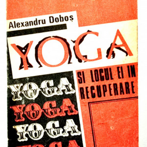 Alexandru Dobos - Yoga si locul ei in recuperare