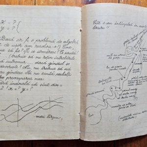 Constantin Chirita - Ciresarii - Img 4