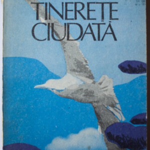 Dinu Pillat - Tinerete ciudata